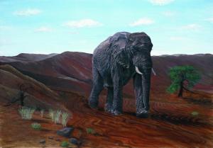 Beauty in the Beast - The Desert Elephant