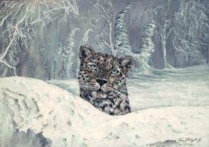 Wildlife Journal - Nadezhda the Amur Leopard